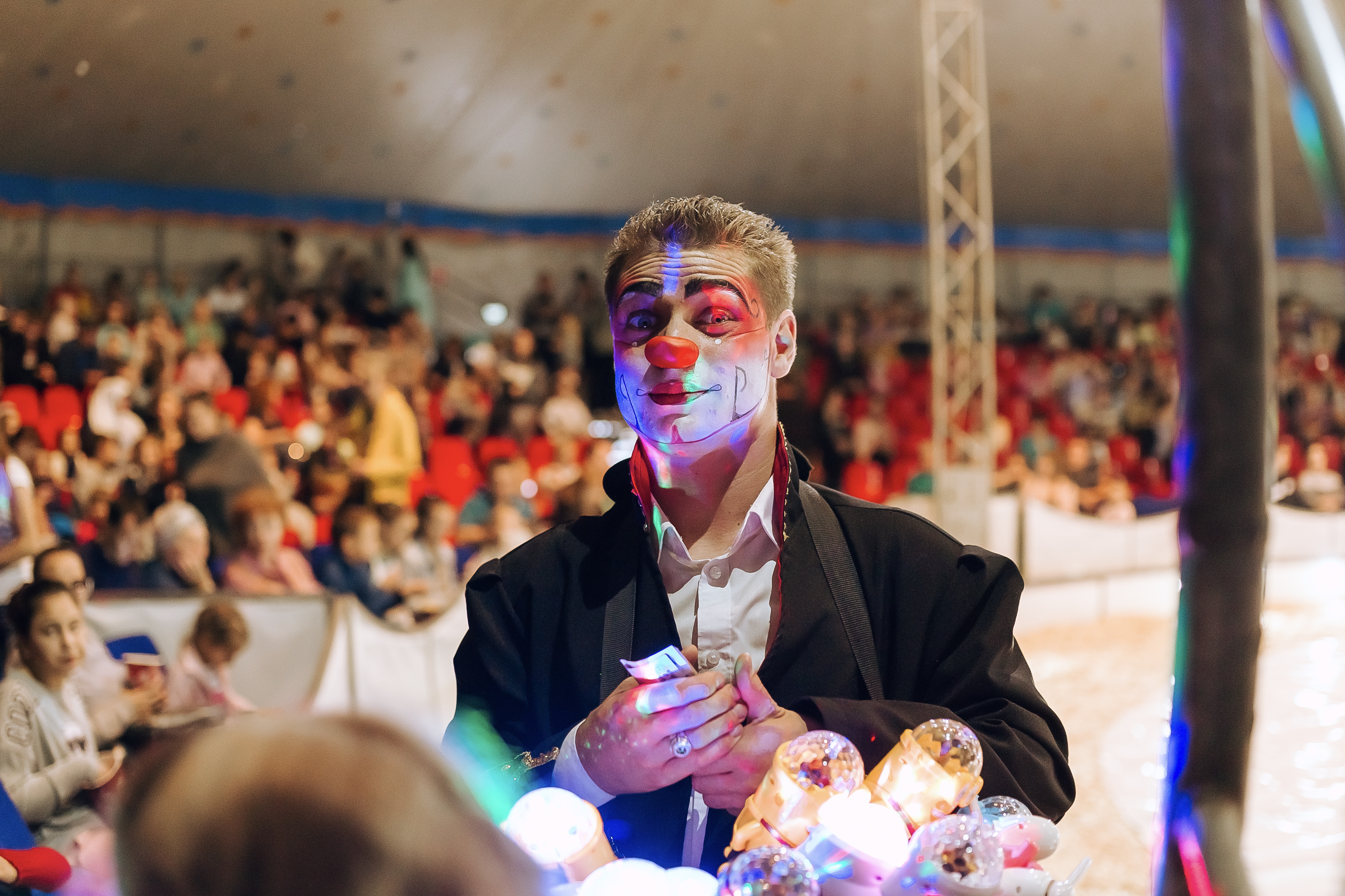 Цирк шоу слонов 2020