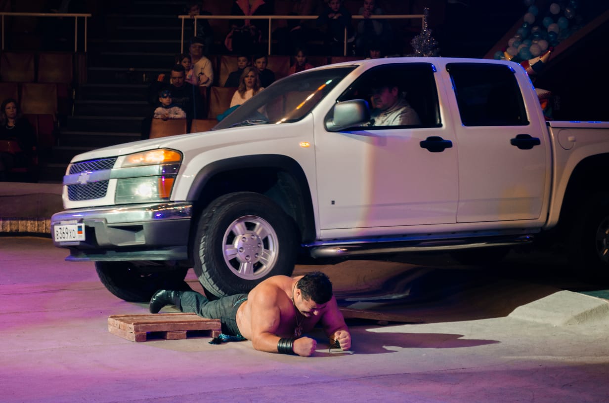 Цирк Тольятти 2020