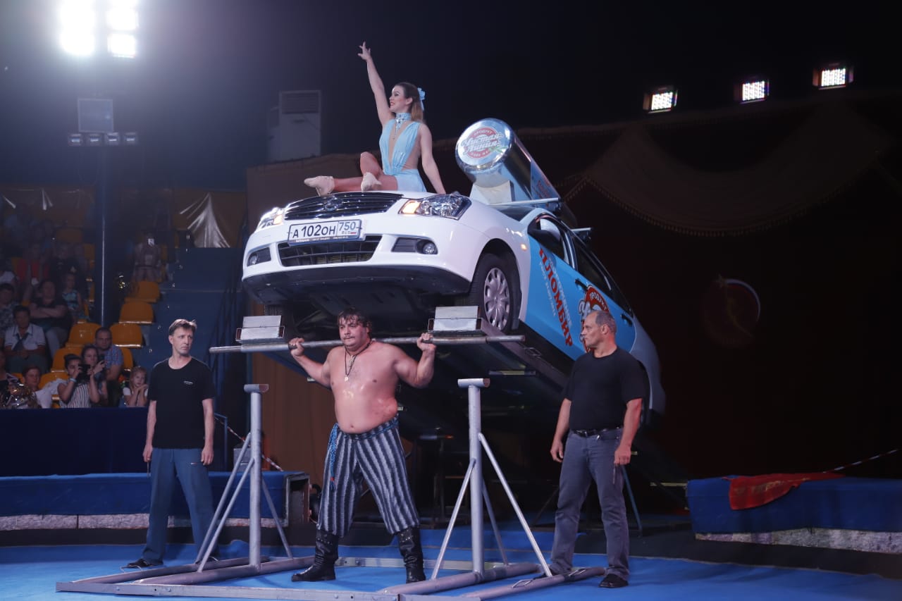 Цирк Шоу тигров и львов