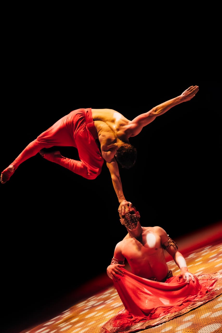 Цирк шоу слонов 2020