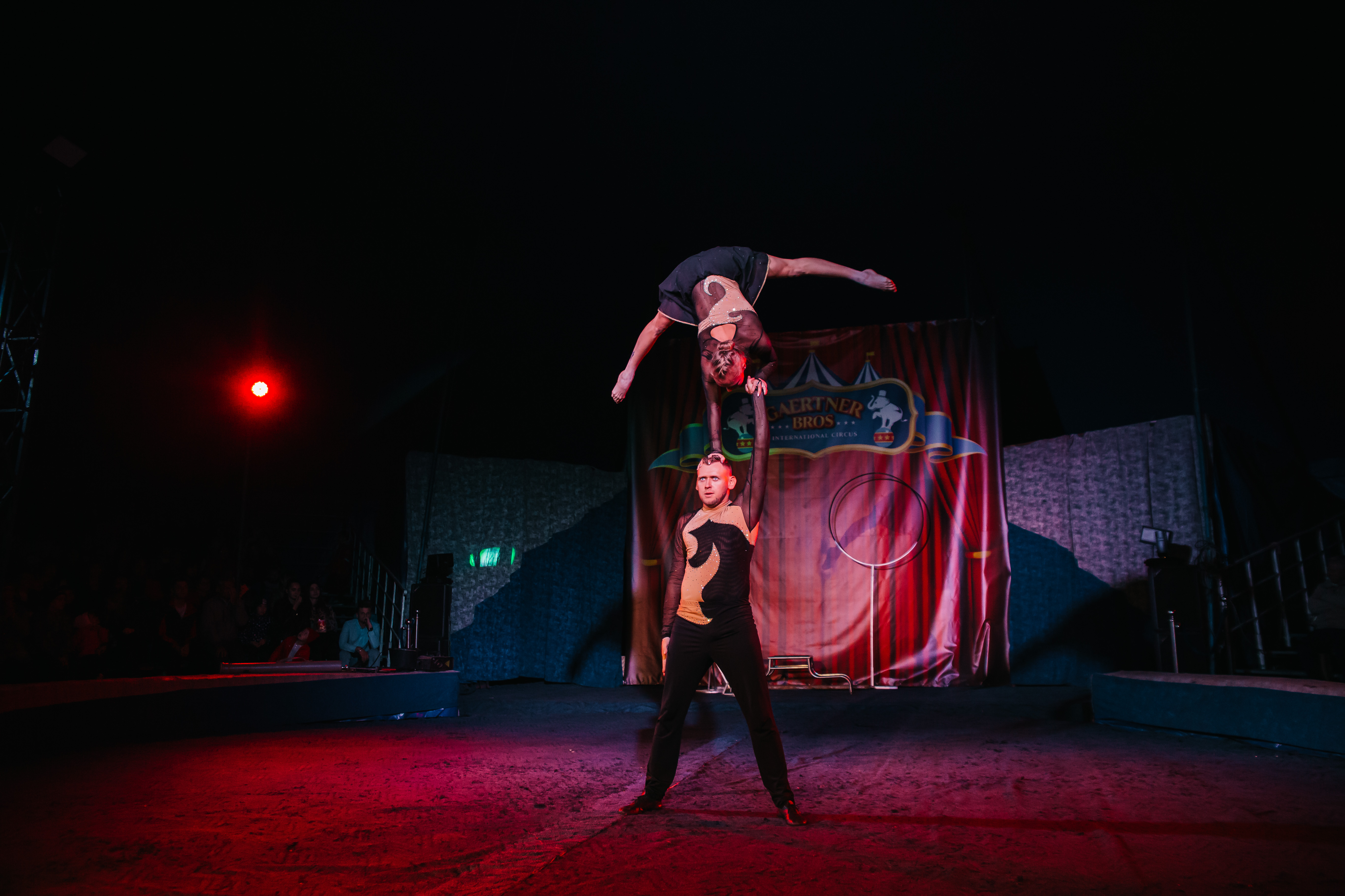 Шоу тигров и львов Тольятти