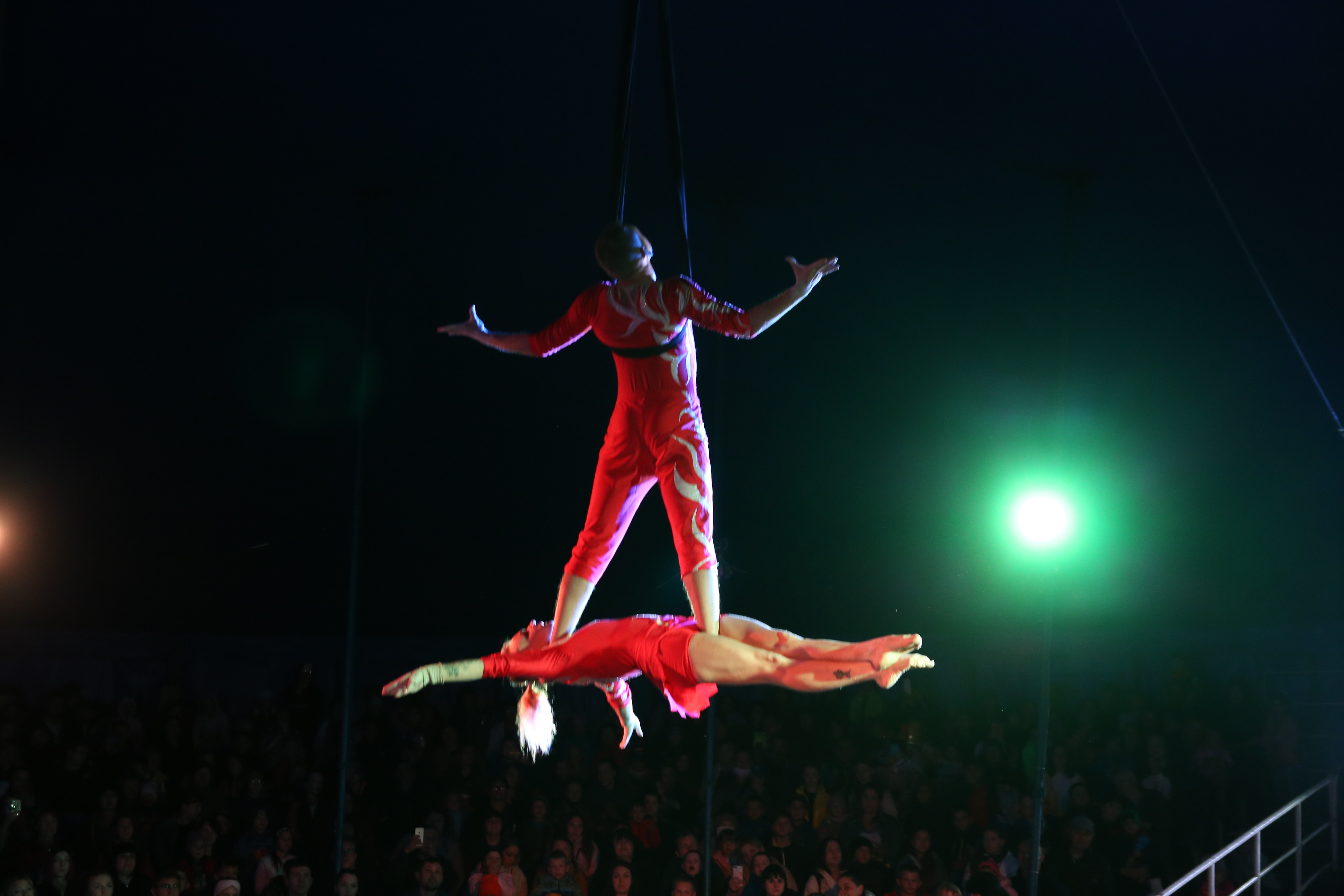 Шоу тигров и львов Тольятти