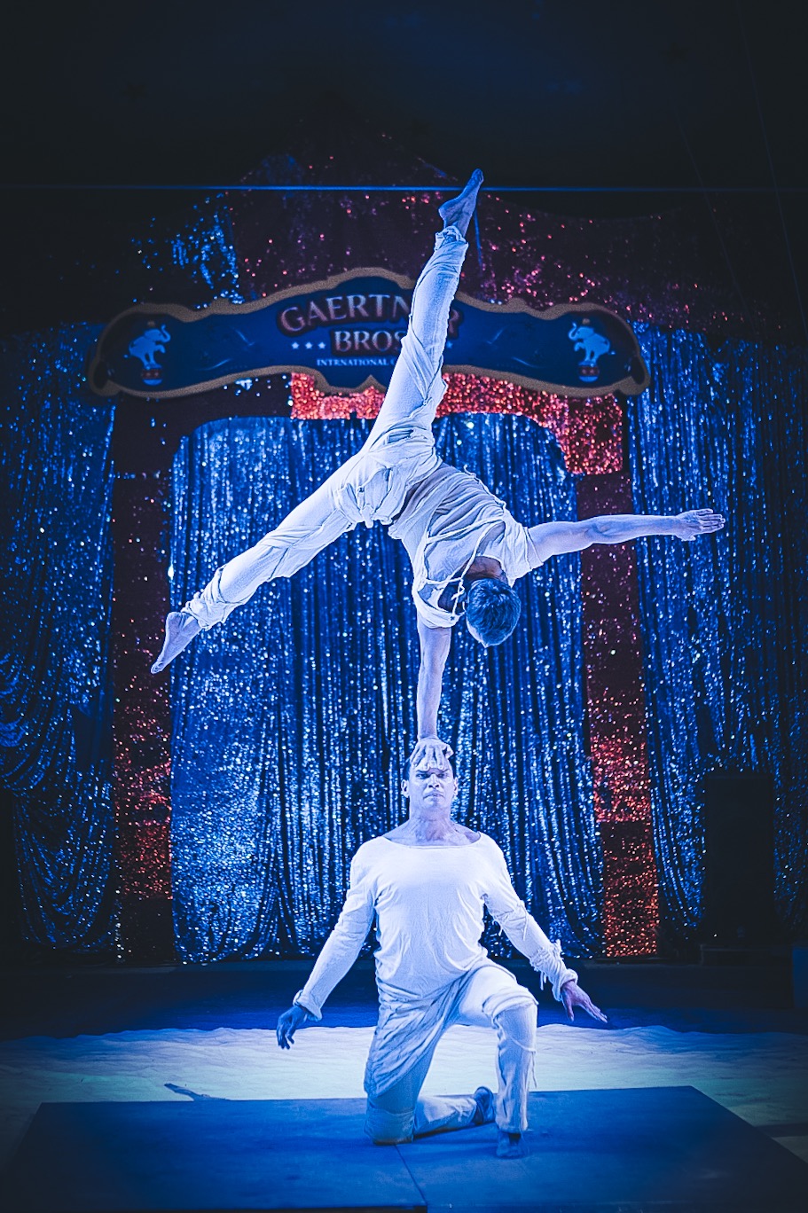 Цирк шоу слонов 2020 Самара