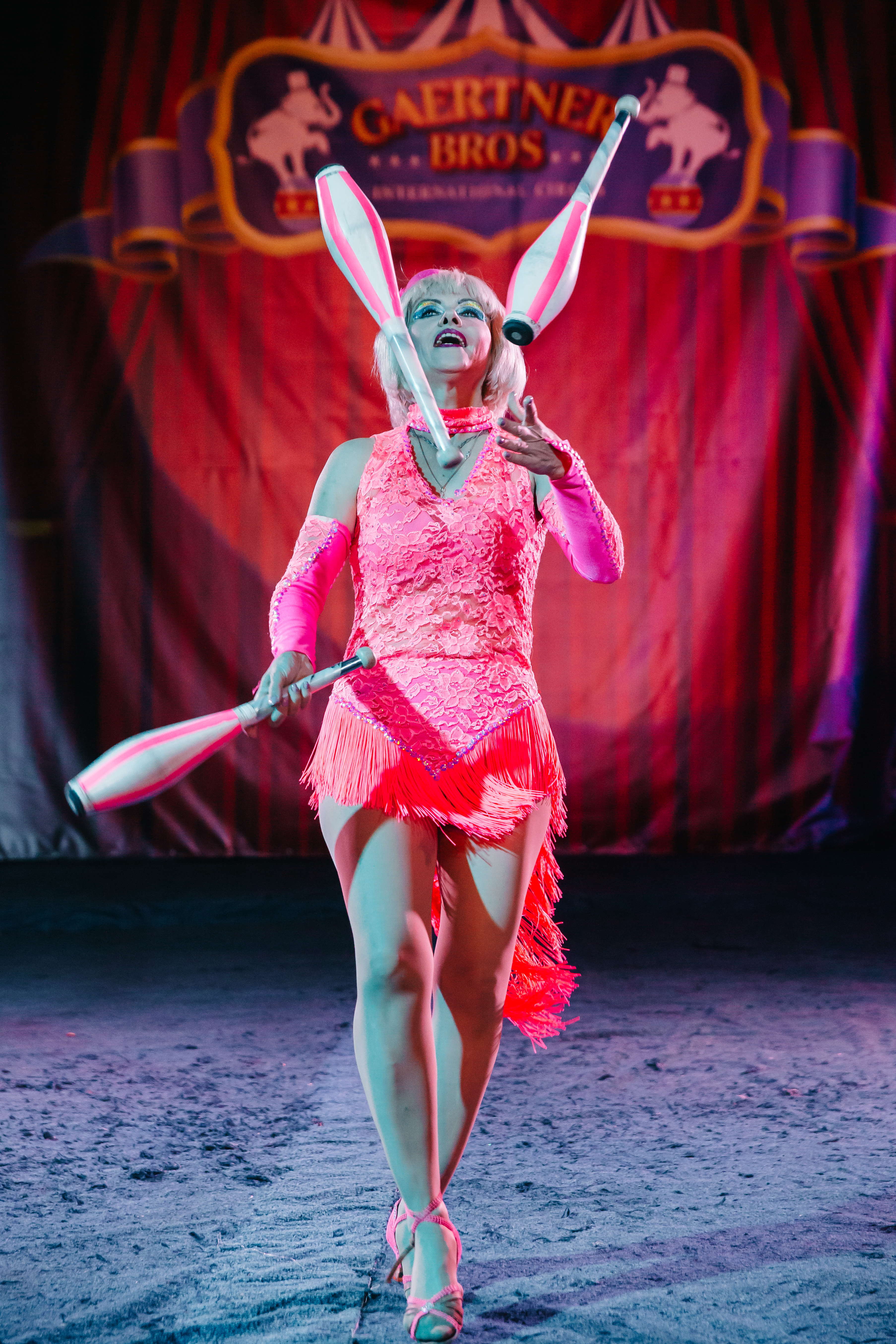 Цирк братьев Гертнер 2020