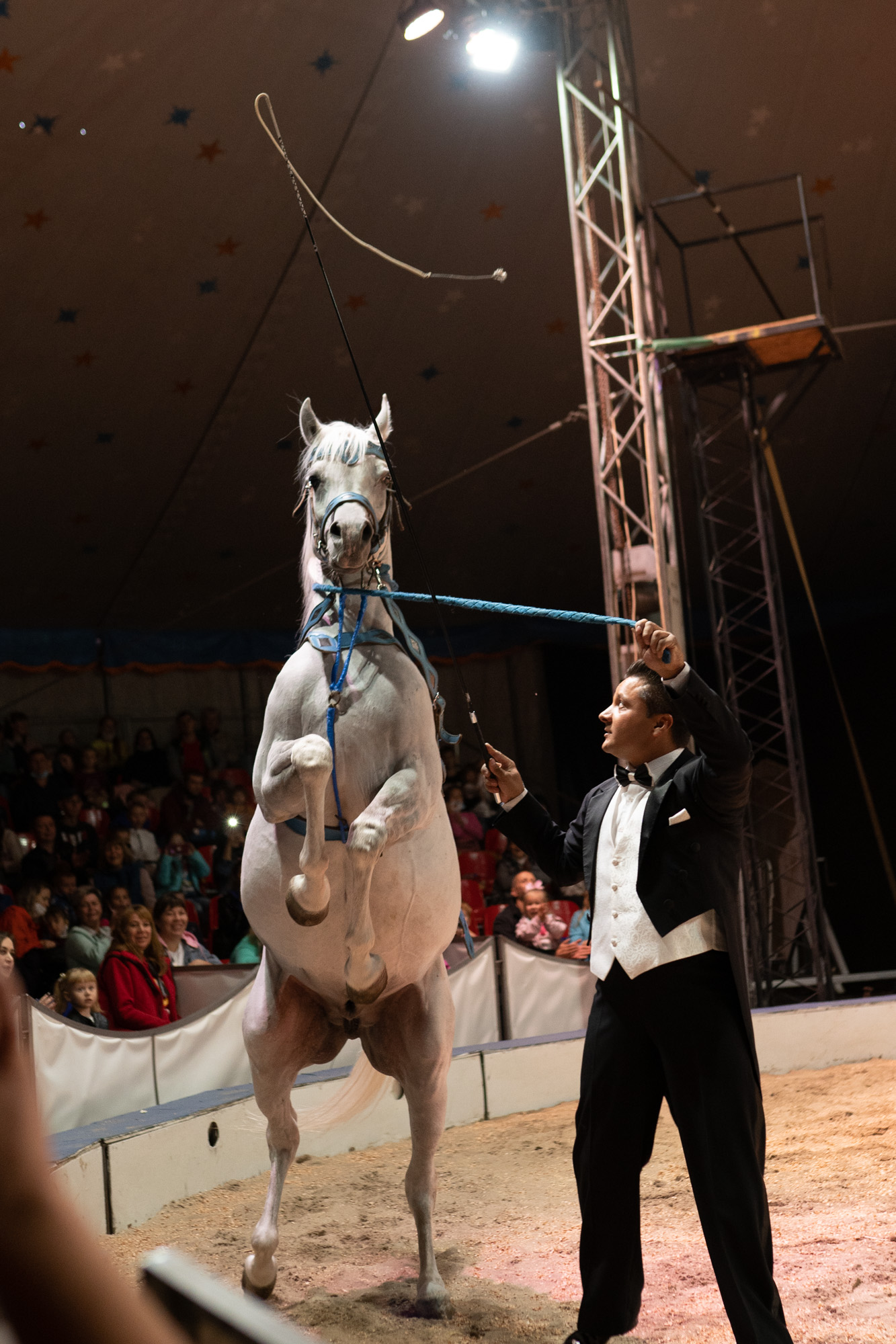 Цирк братьев Гертнер 2020