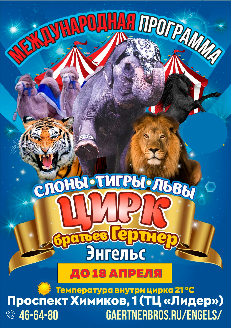 Цирк братьев Гертнер в г.Энгельс с 19 марта по 18 апреля 2021