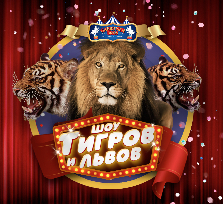 Цирк шоу слонов братьев Гертнер в Йошкар-Оле 