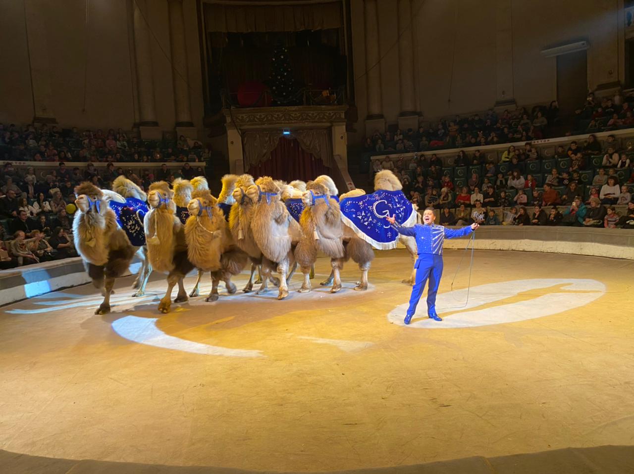 Новогоднее Шоу братьев Гертнер 2022