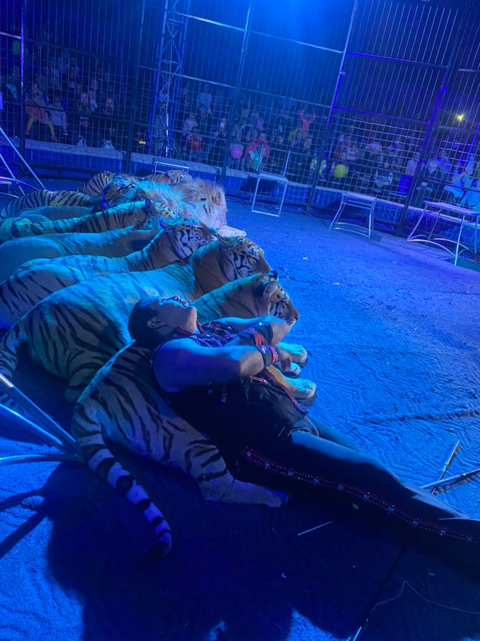 Цирк братьев Гертнер