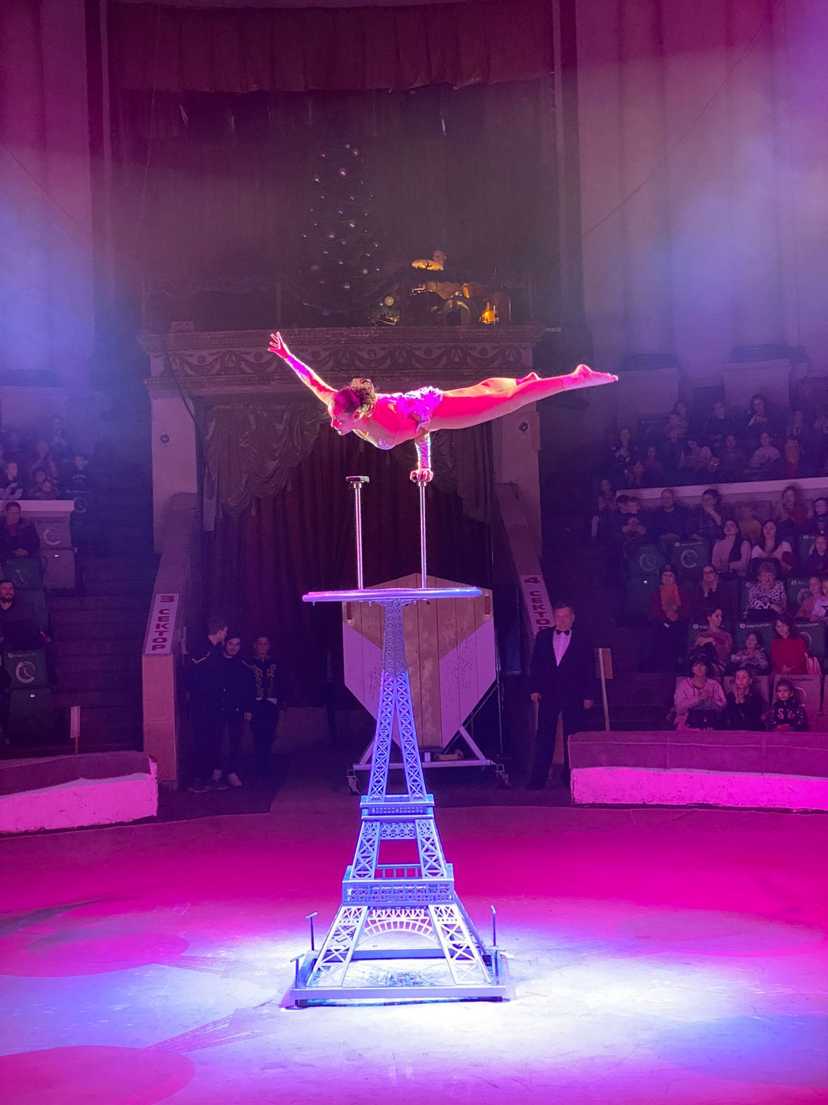 Цирк братьев Гертнер