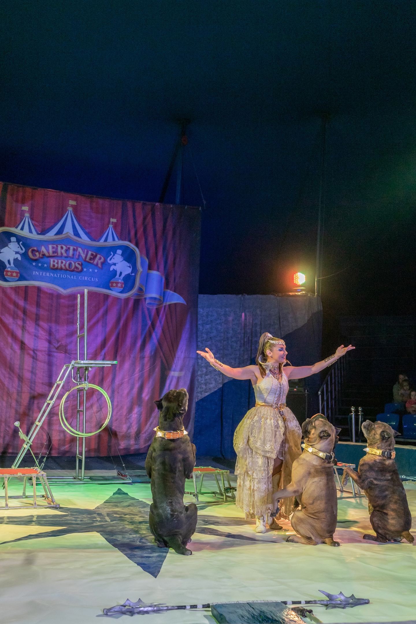 Шоу тигров Братьев Гертнер