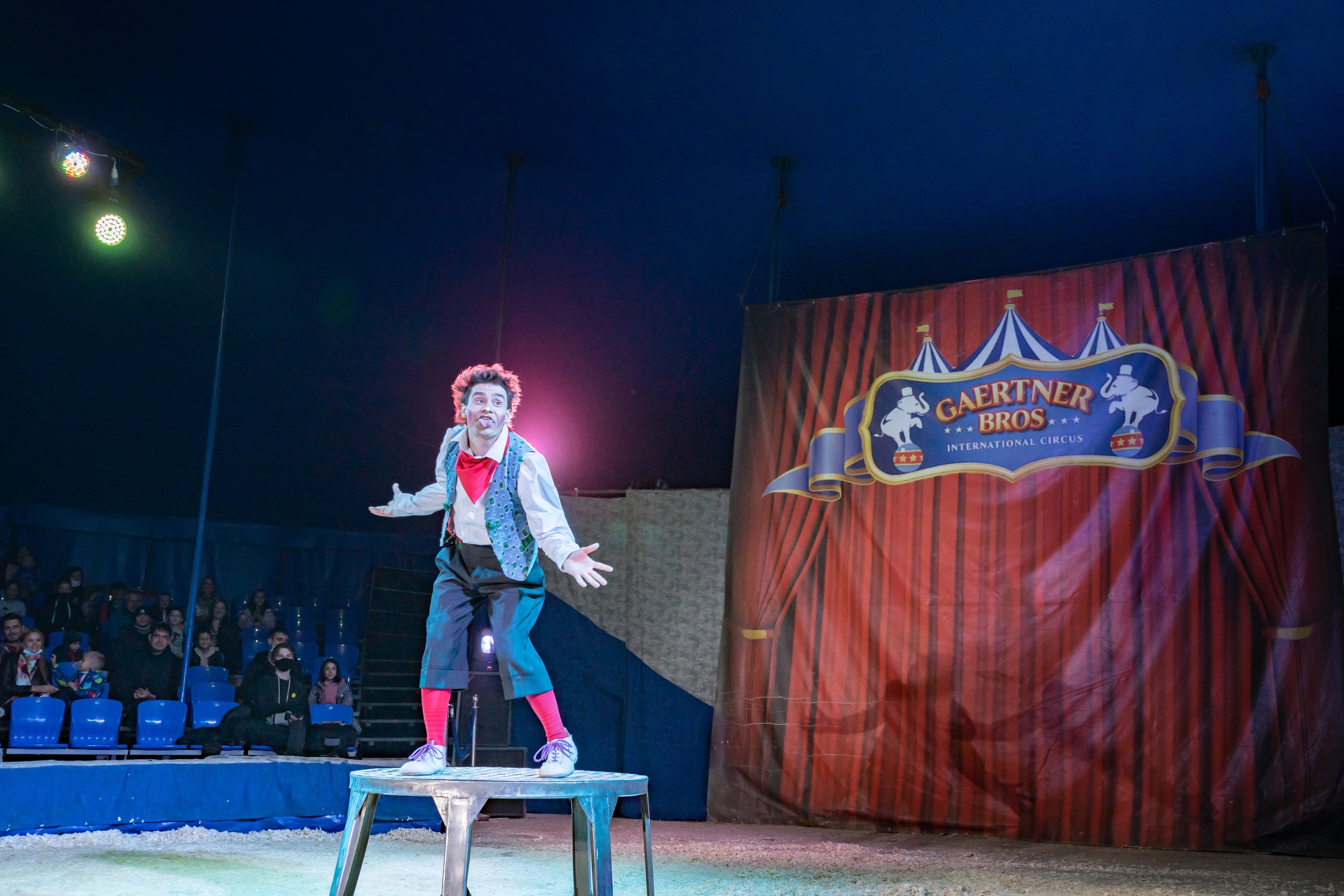 Цирк братьев Гертнер