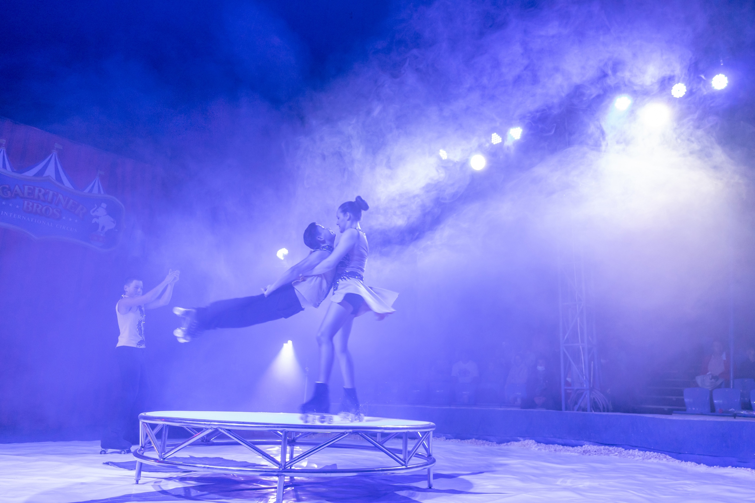 Шоу тигров Братьев Гертнер