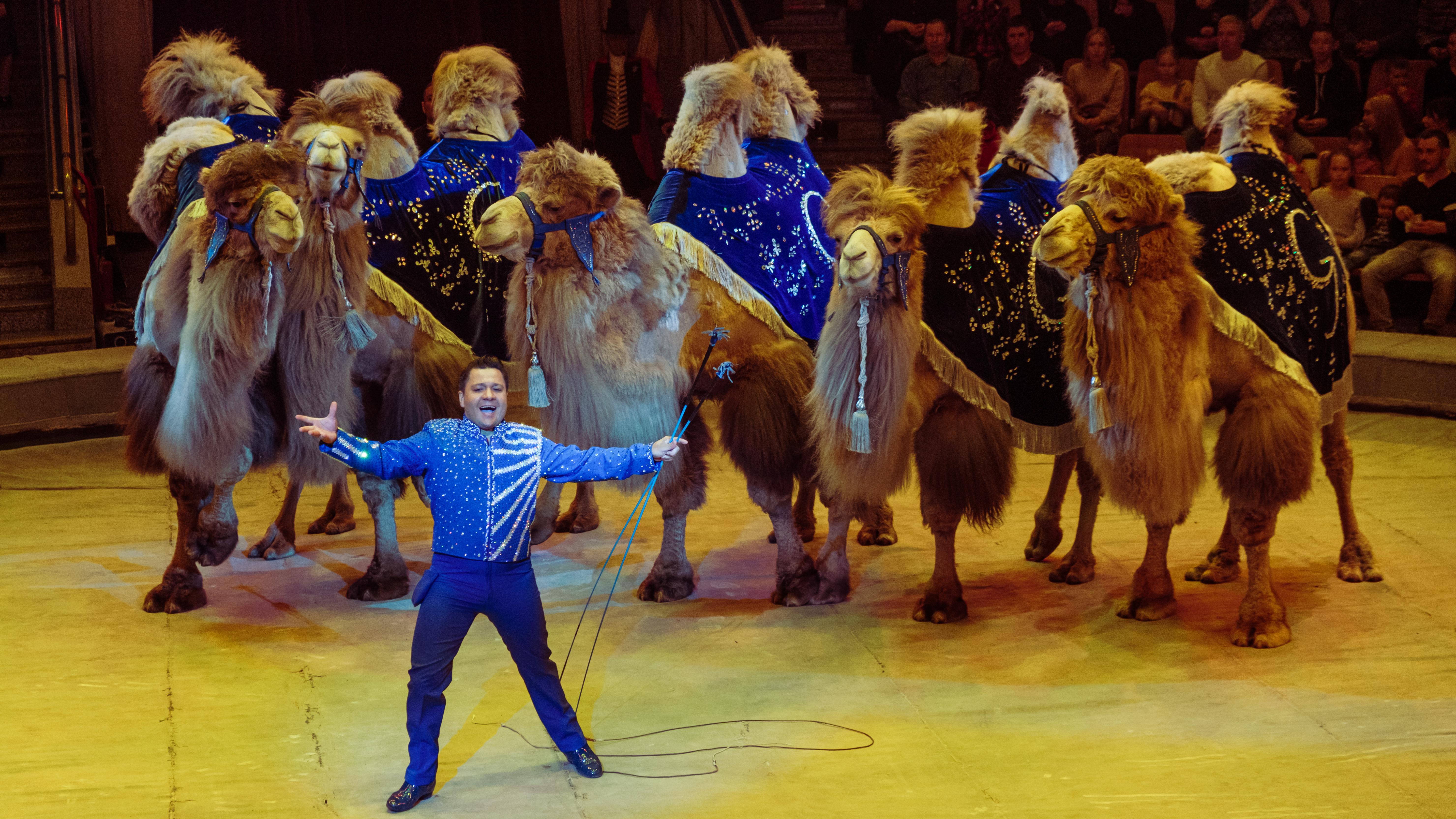 Цирк братьев Гертнер 2022