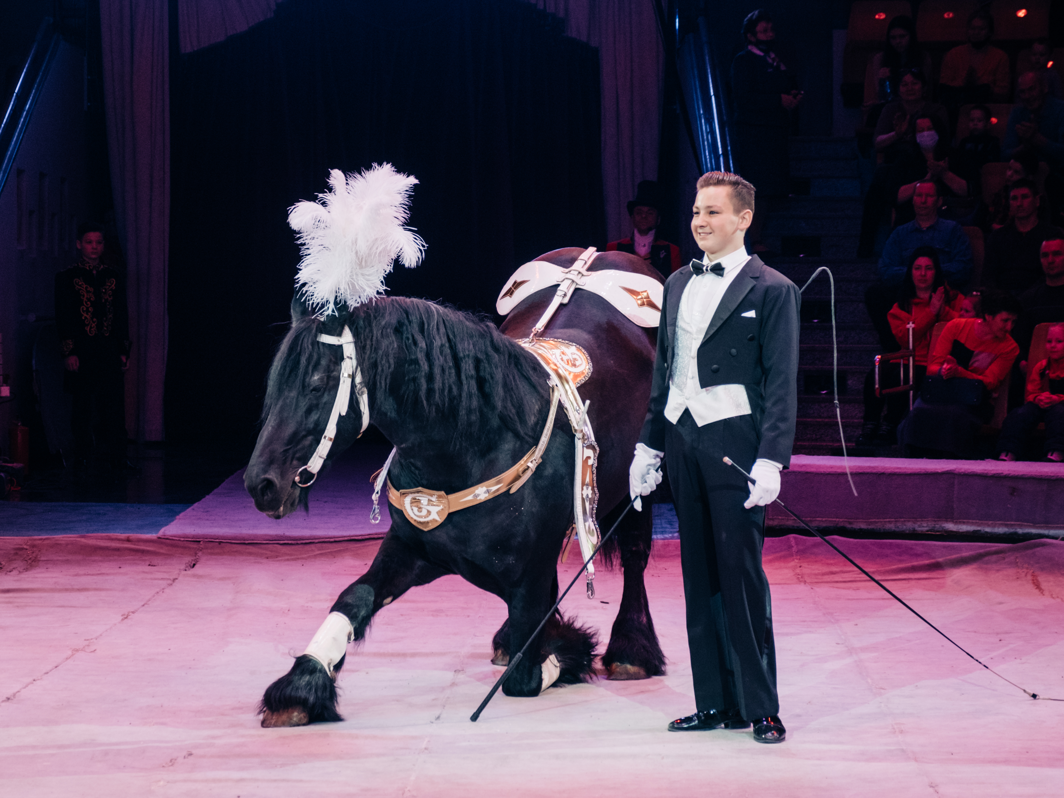 цирк братьев гертнер 2022