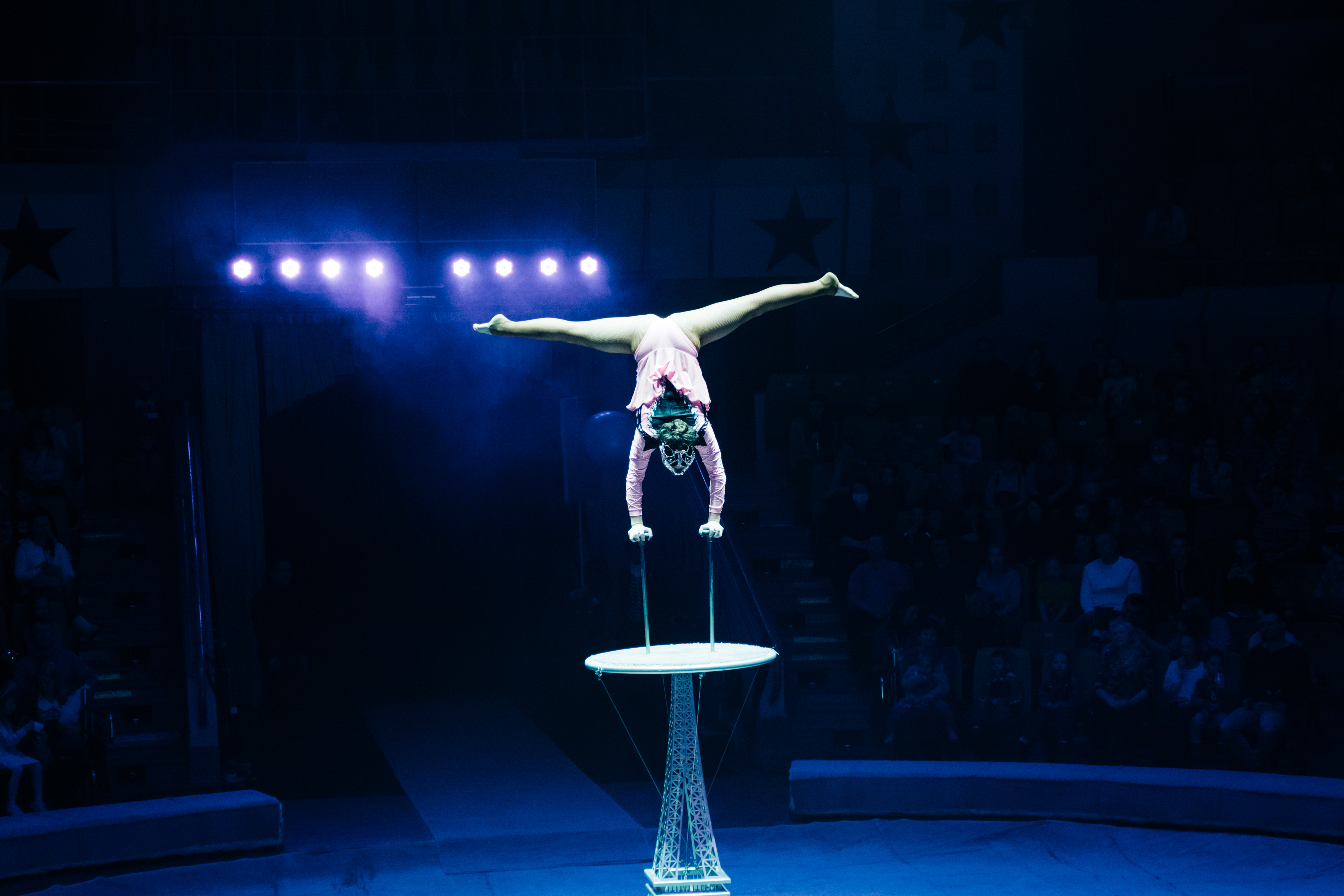 Цирк братьев Гертнер