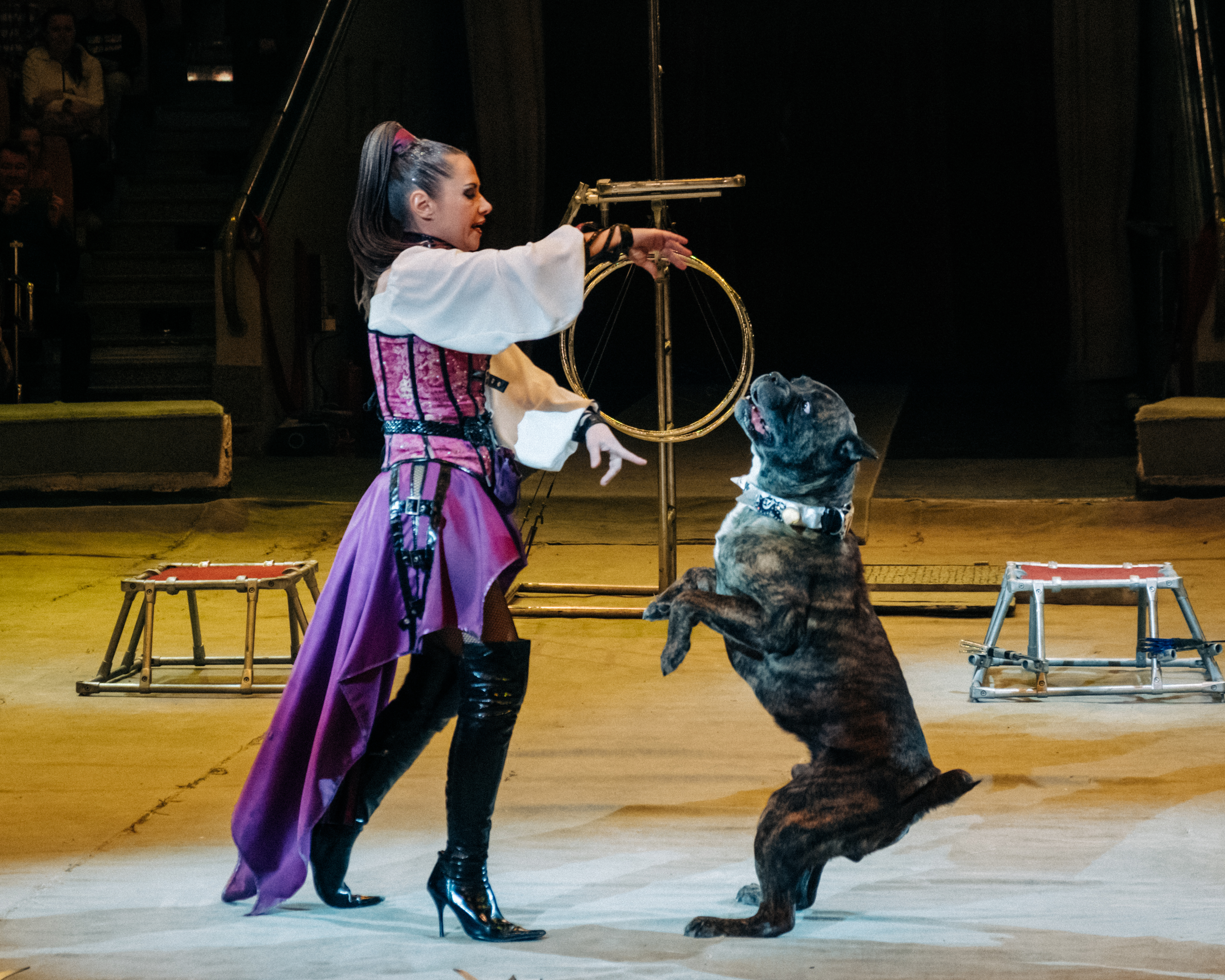 Цирк братьев Гертнер