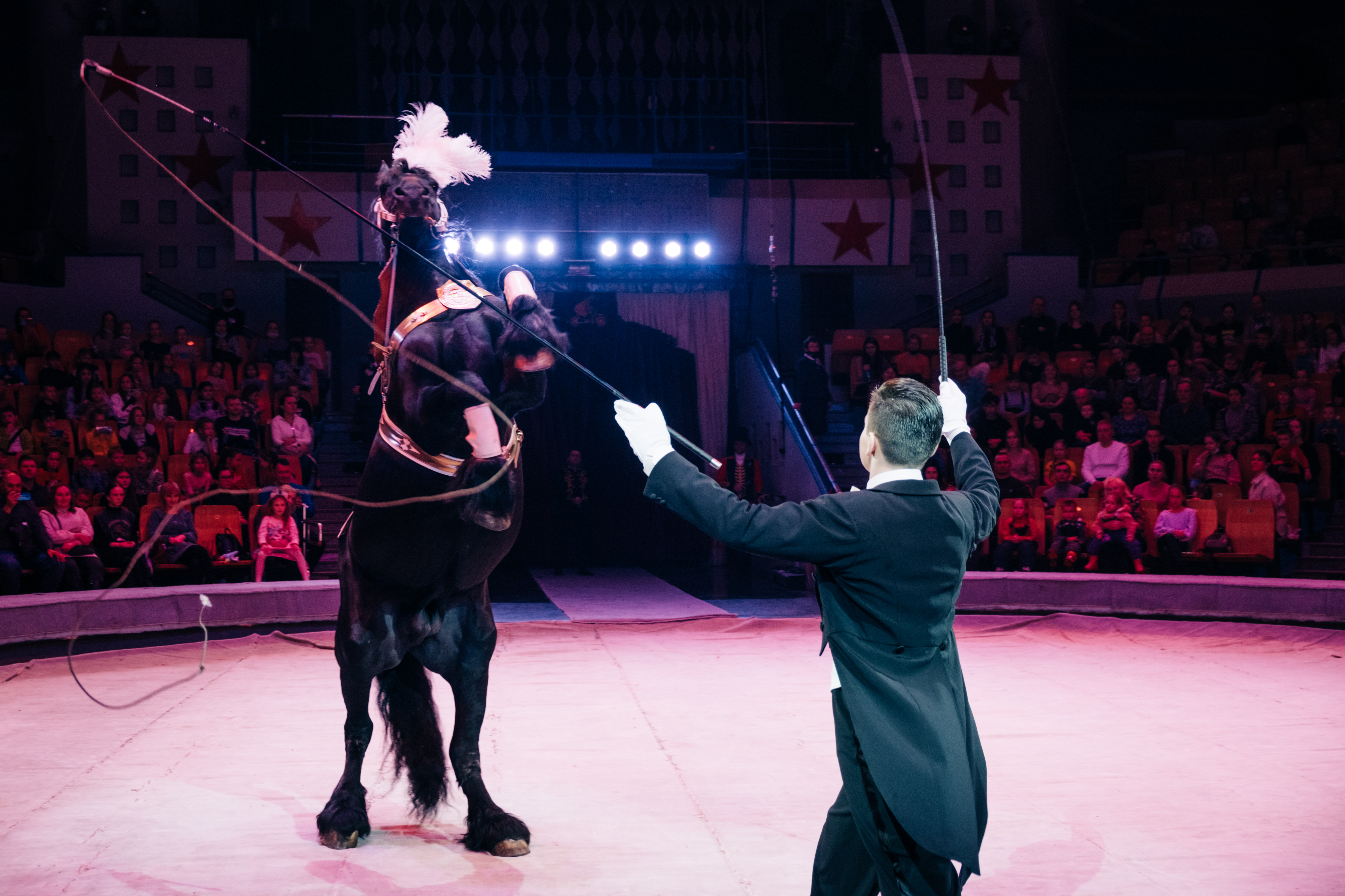 Цирк братьев Гертнер