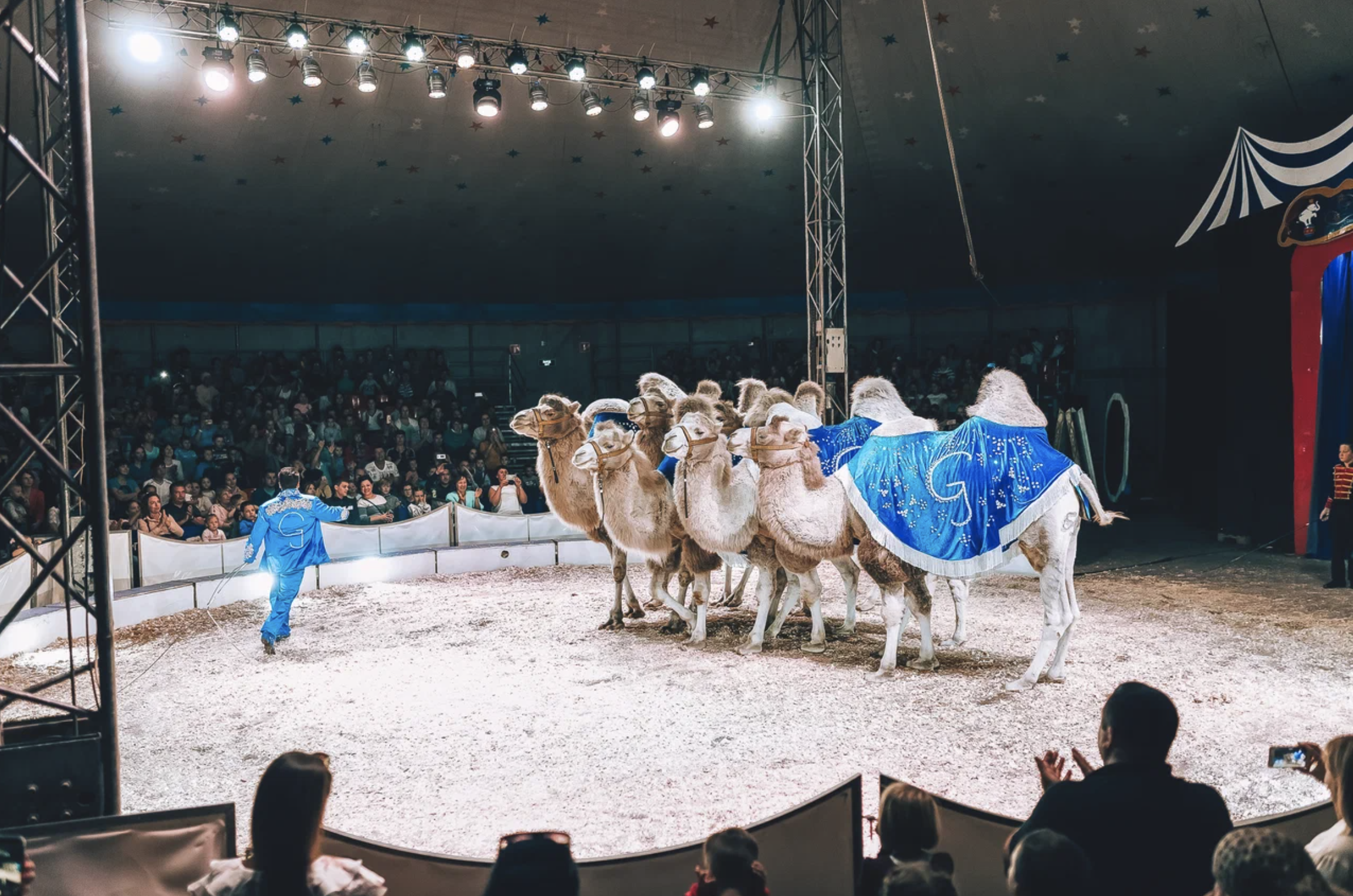 Немецкий цирк братьев Гертнер 2026