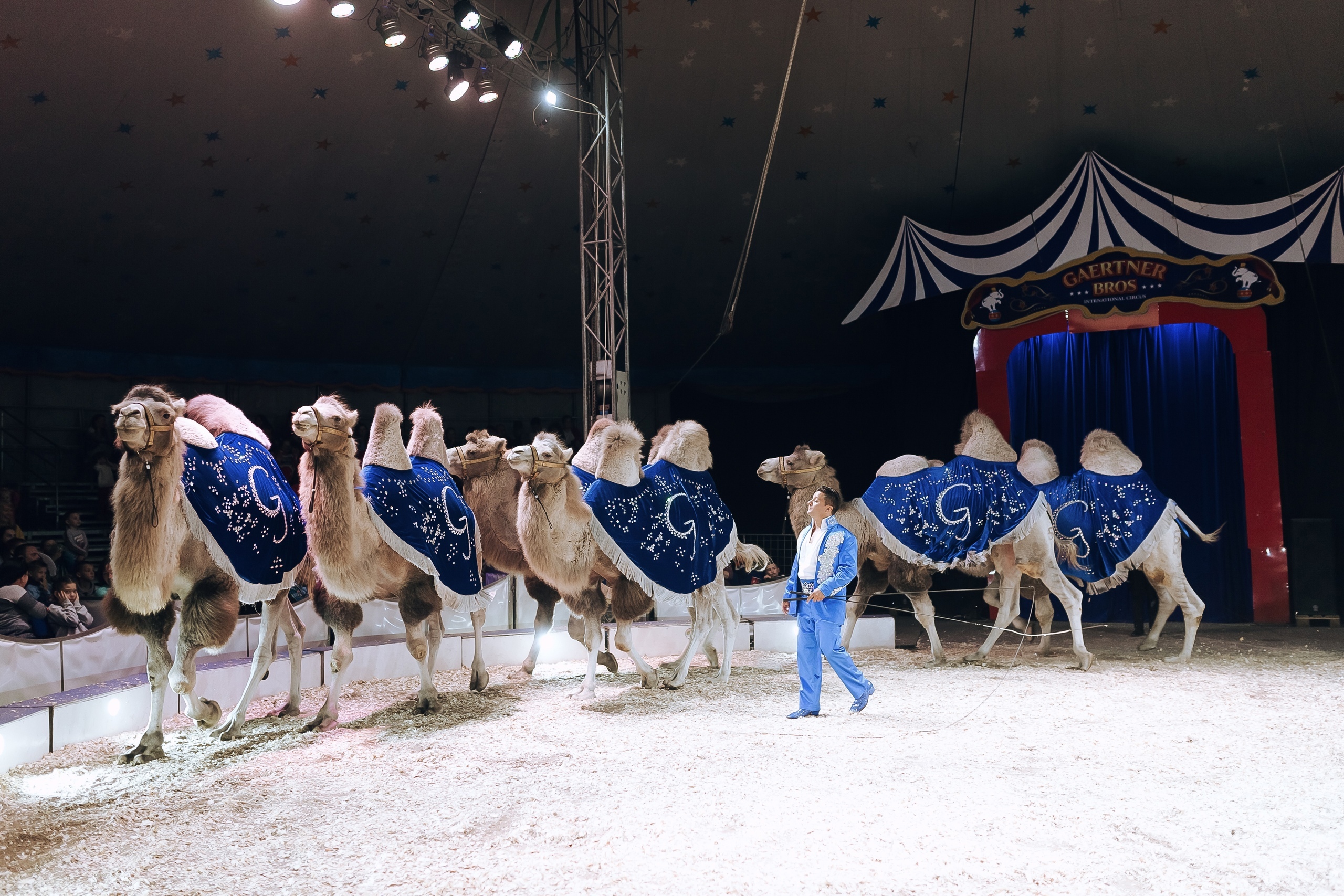 Цирк братьев Гертнер