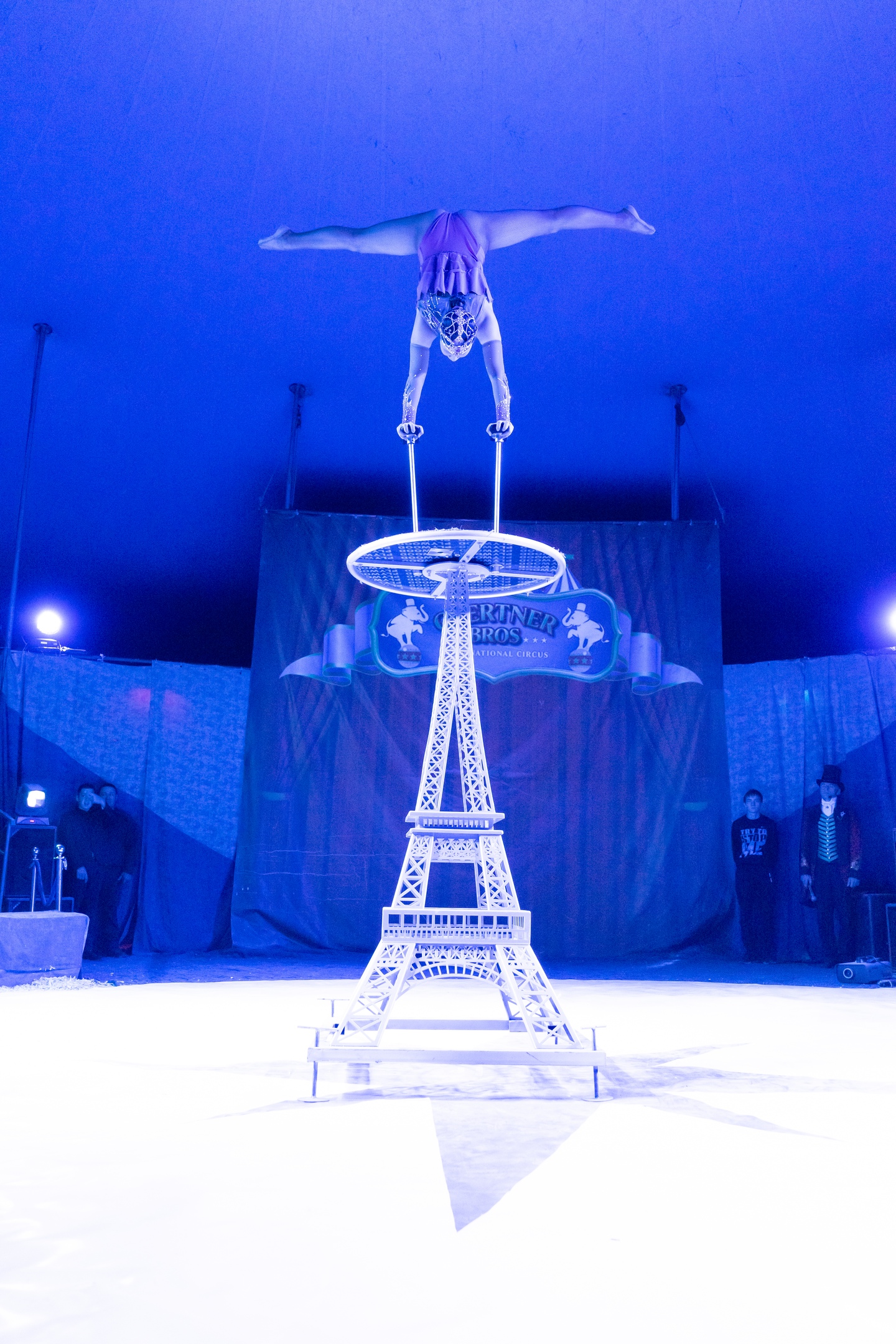 Цирк шоу Гертнер 2022