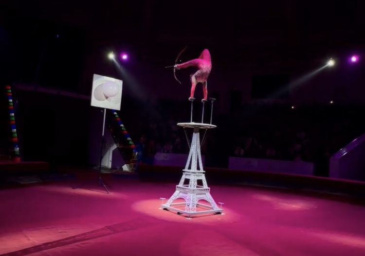 Цирк братьев Гертнер