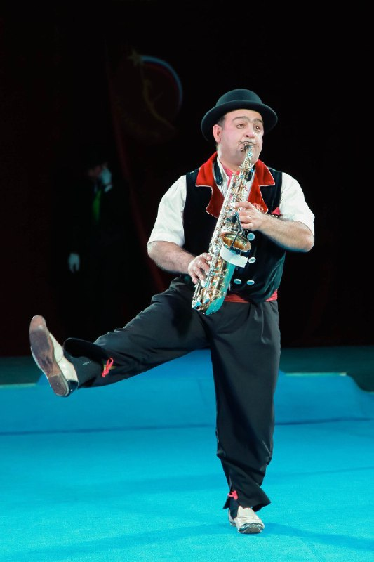 Немецкий цирк братьев Гертнер 2026