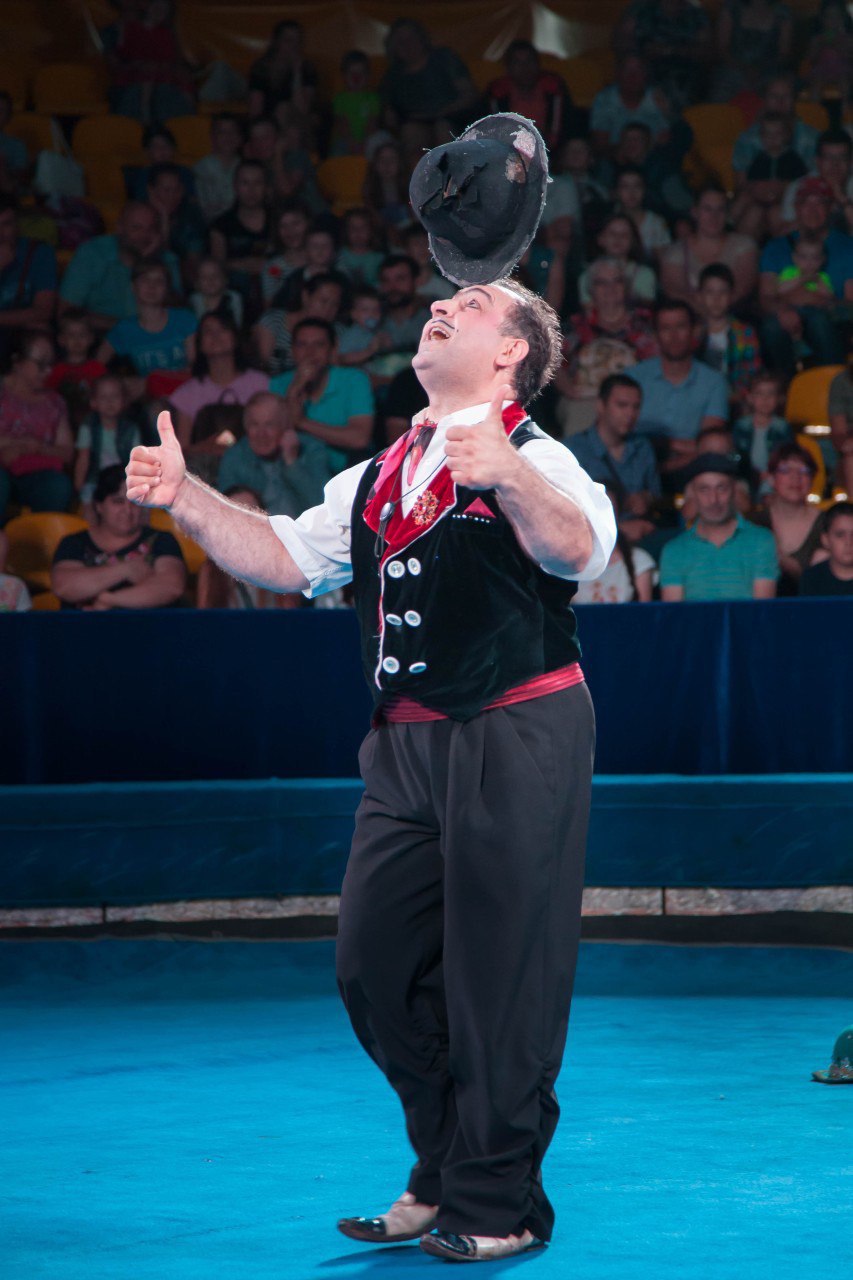 Цирк братьев Гертнер